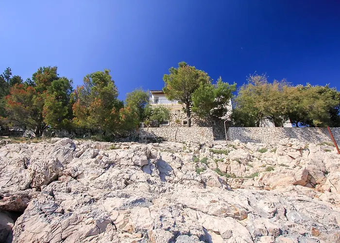 Robinson Lovorka * Potomje