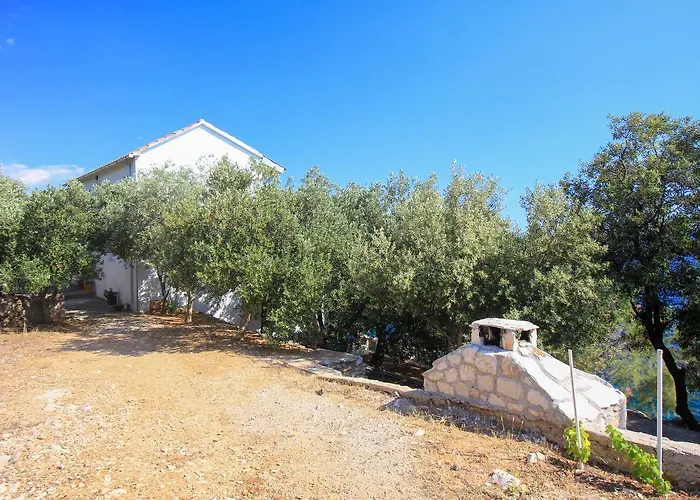 Robinson Lovorka * Potomje