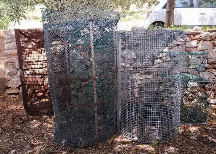 Robinson Lovorka Potomje